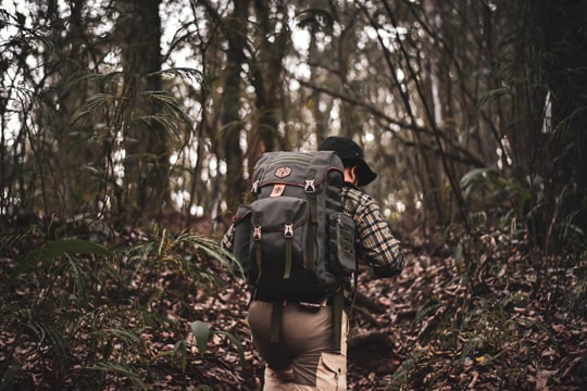 Trail-walks and Treks